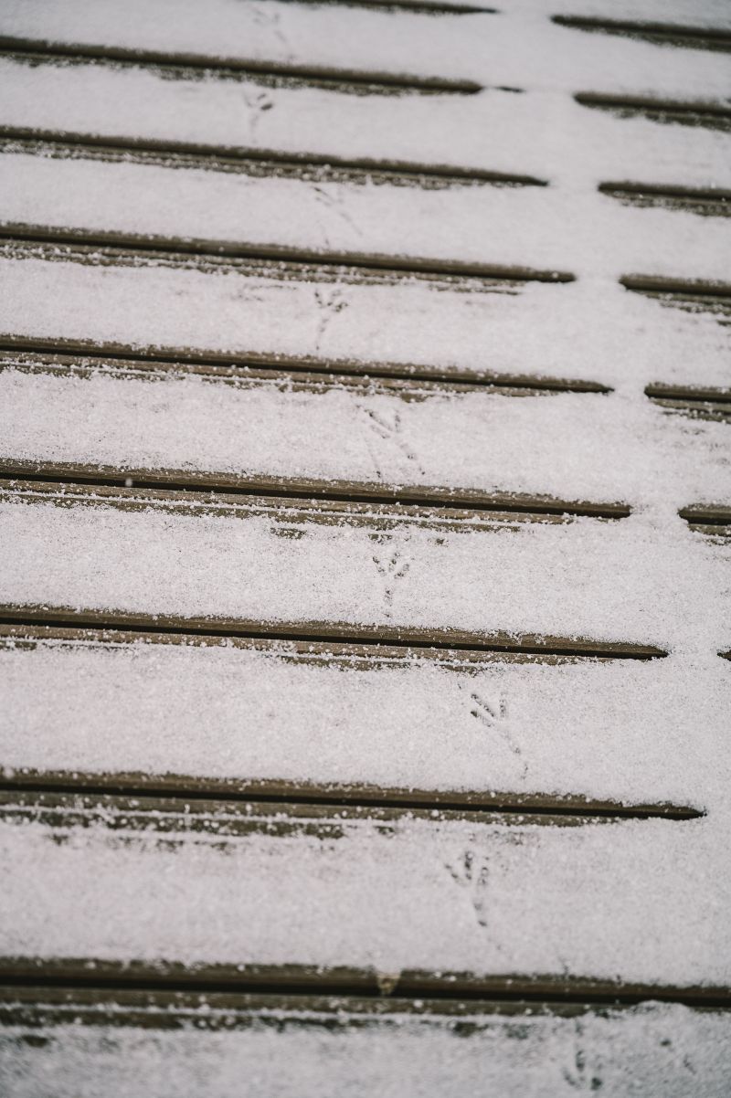 Schnee auf dem Steg mit Vogelspuren