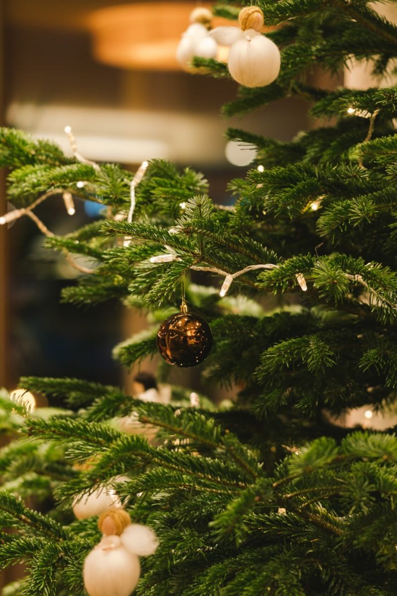 Ein Ausschnitt eines geschmückten Weihnachtsbaumes