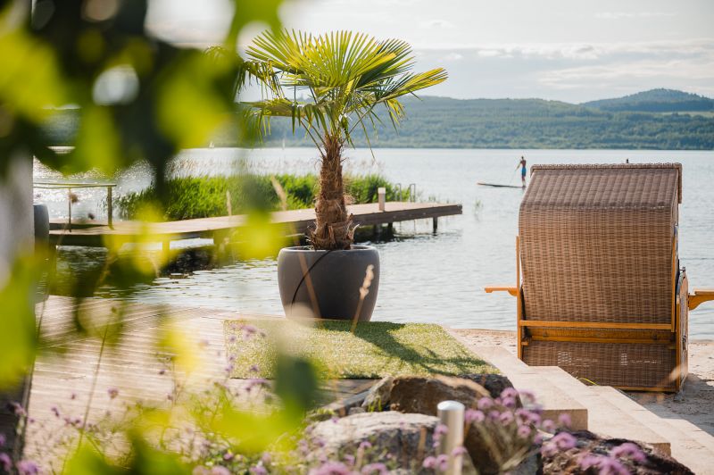 Blick auf eine Topfpalme am Sportstrand